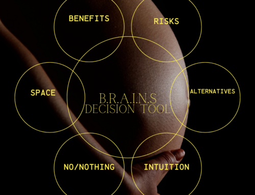 Use Your BRAIN(S): Making Informed Decisions for Pregnancy, Birth and Beyond